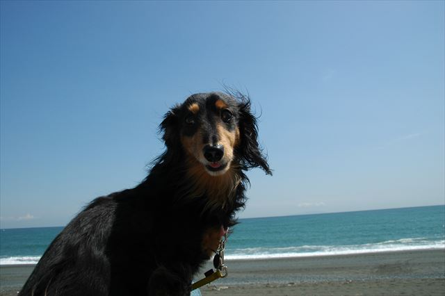 最高の休日だね！