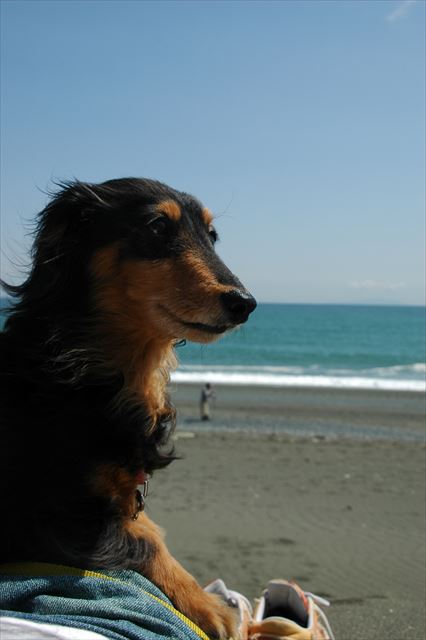 この日のことよく覚えてるよ。楽しかったよね、ルパン。