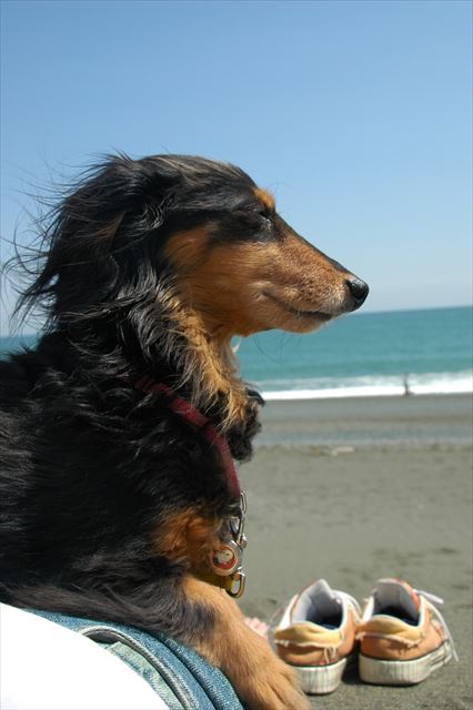 ルパン、最高だよ・・