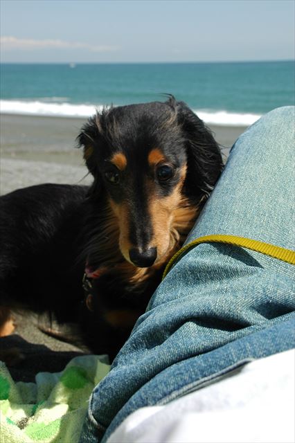 ルパンと一緒に海が見れて幸せだよ。