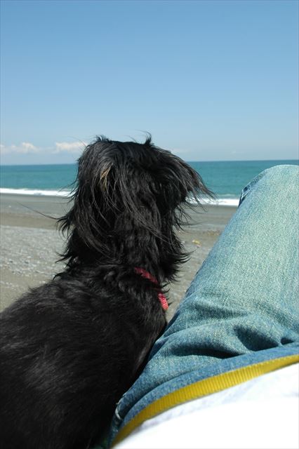 後頭部もかわいい・・