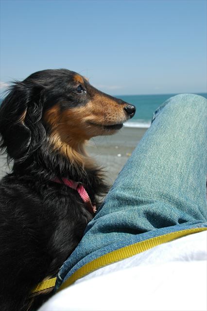 青い海、ルパン・・最高に幸せな時間。