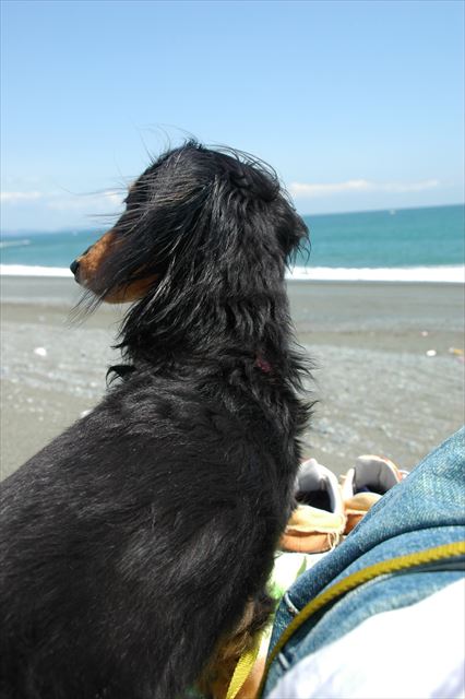 ルパン、いつも一緒にいてくれてありがとね。