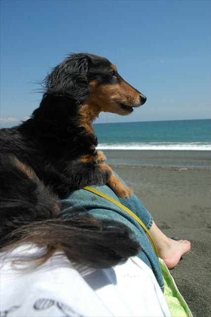 幸せだよ、ルパン・・。