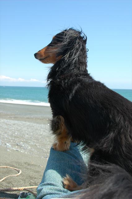 ふふ、何見てるの？自信満々の顔♪