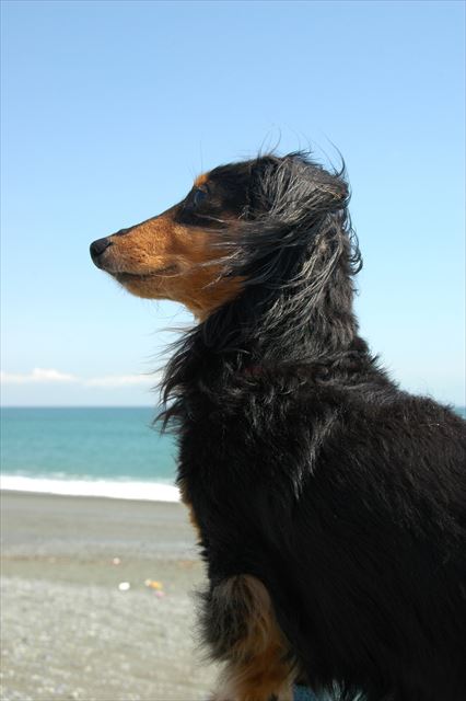 潮風に吹かれて。気持ちいいねぇ。