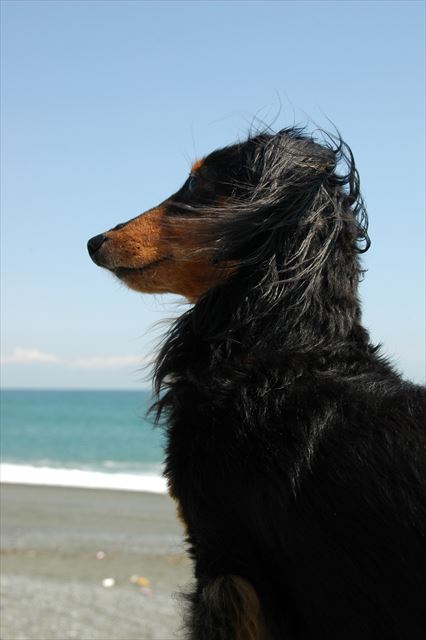 ルパンと空と青い海。最高だよ。