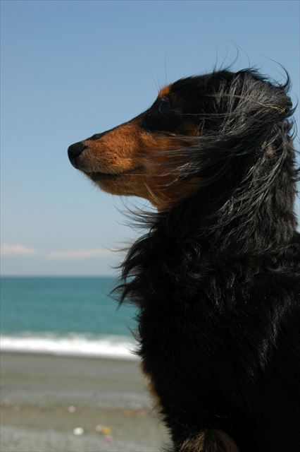 青い海。青い空。きれいだったね。幸せだったよ。