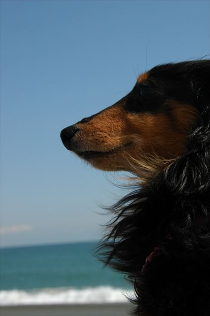 真っ青な空とルパン。最高の休日。