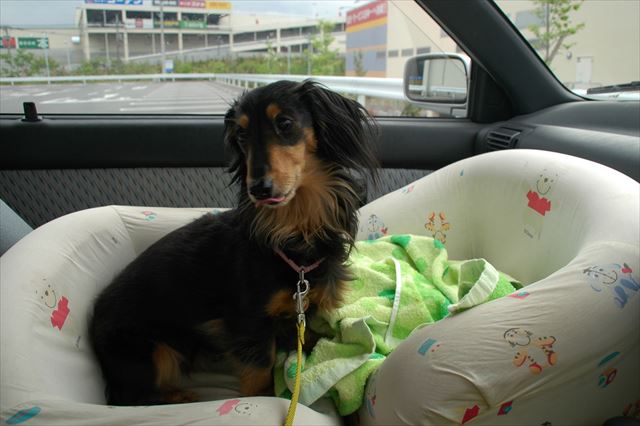 いつでも一緒だったね。ルパンがいたら、何でも楽しかった。