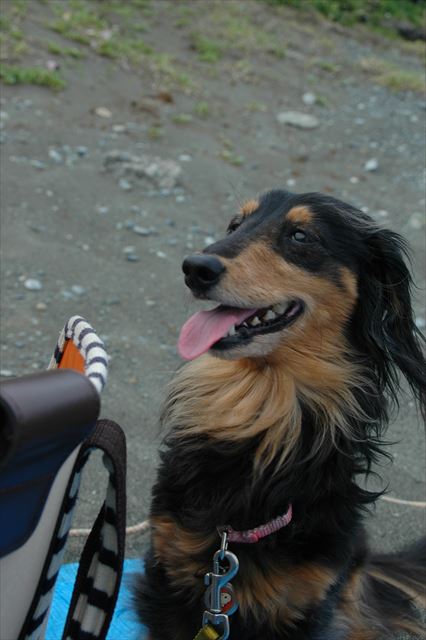 ルパンとふたりの海岸。ちょっと暑いかな？