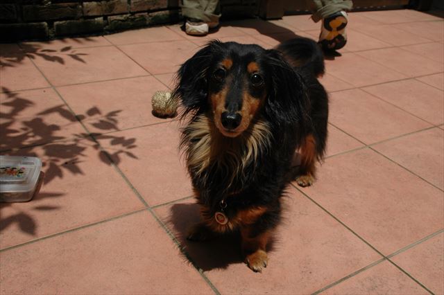 ３人でテラスで過ごすの楽しかったよね。