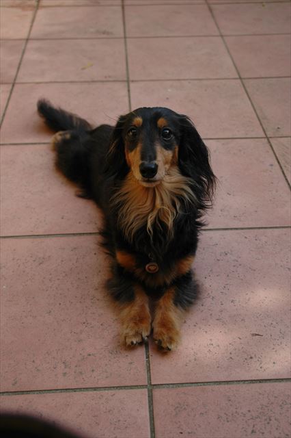 ふふ♪このポーズ、大好きだったな。