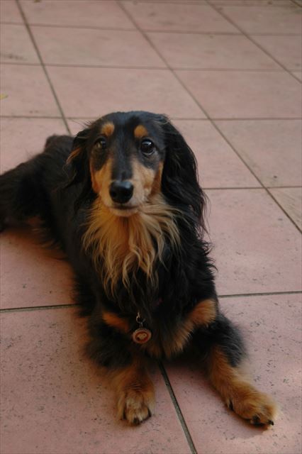 もう１回？ボール投げ、もう１回？