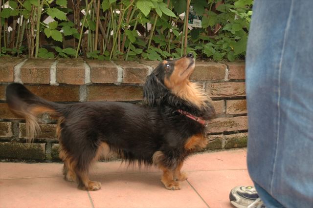 うんうん、気になるのね？持ってるもの、欲しいのね。