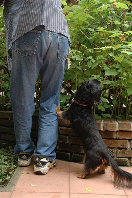 何でも一緒にやりたいんだよね。お手伝い上手なんだよね。