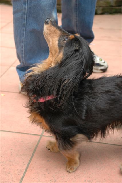 「何持ってるの？ちょうだいちょうだい・・！」