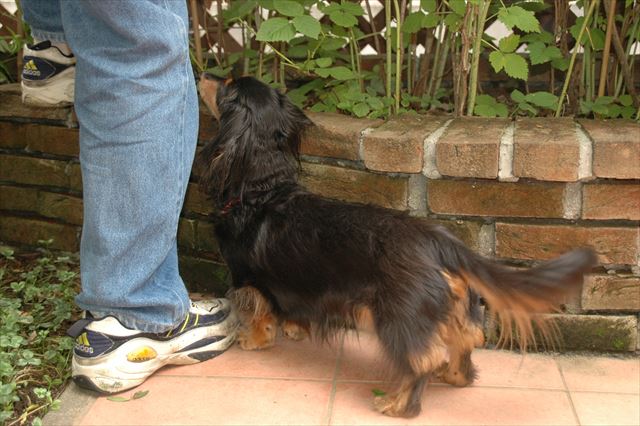 ねぇ、何してるの？