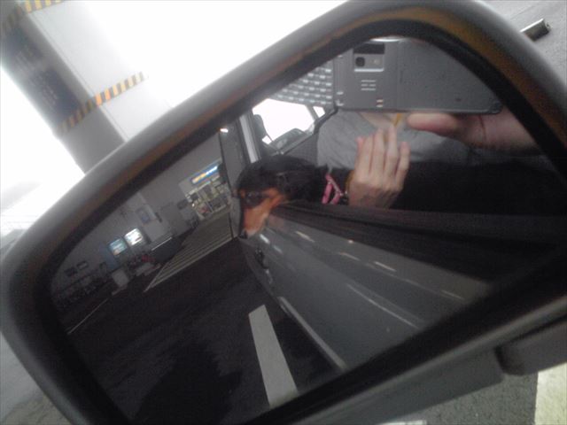 いつも一緒だったよね。ルパン、今でも大好きだよ。