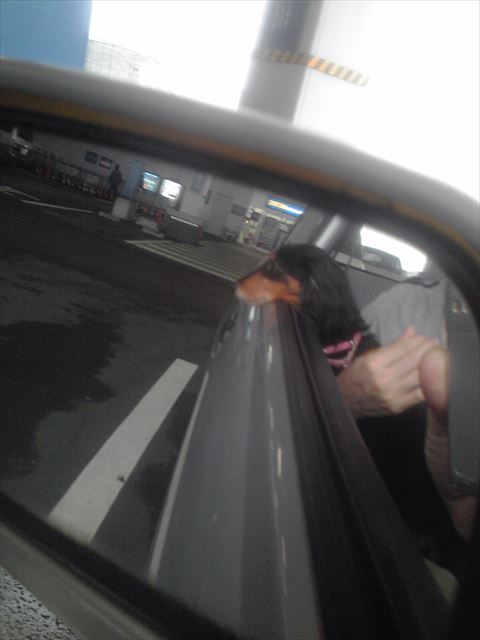 いつも一緒だったね。いつでも楽しかったよ。