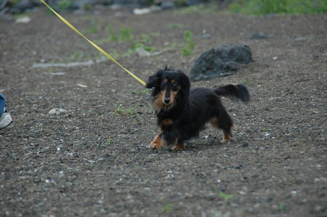 富士五湖めぐり。楽しかったね。
