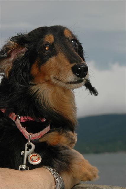 このおてて・・ルパンの全部が大好き。