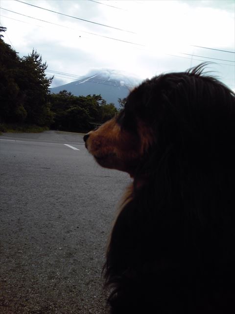 今日の旅行も楽しかったね。