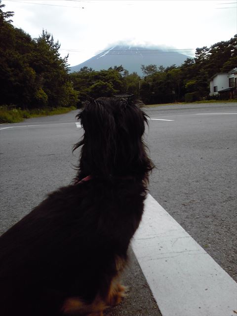 富士山だよ。たぶん、ルパンは違うもの見てるよね。