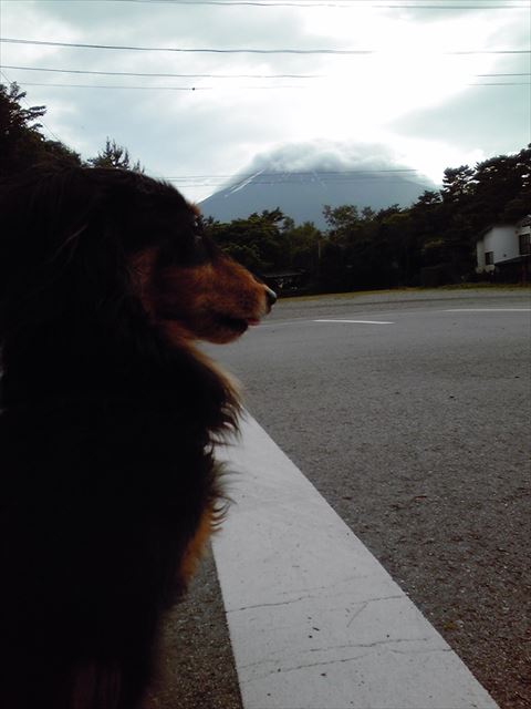 みんなで富士山見に行ったね。