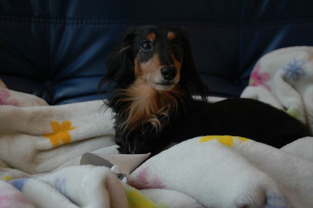 開けられた？もっと？作ってあげるよ。