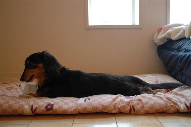 長いねぇ。ご機嫌だねぇ・・！