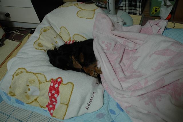 夏休み。遊び疲れて・・