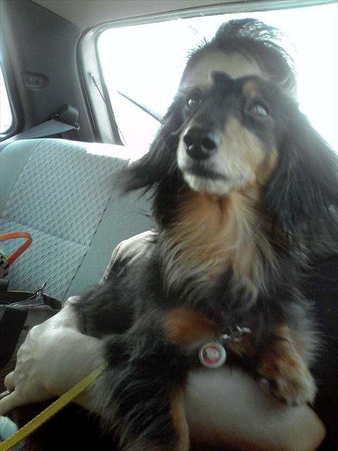 おばあちゃんにだっこされて。みんなでドライブ楽しかったね。