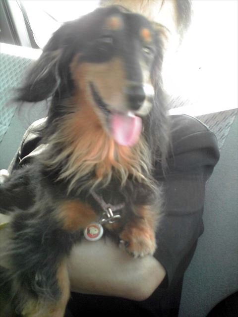 夏のルパン。ドライブ大好き。