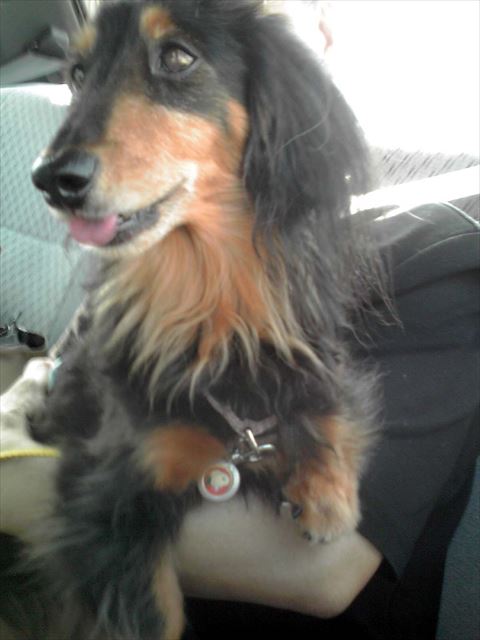 夏のドライブ。楽しんでる？