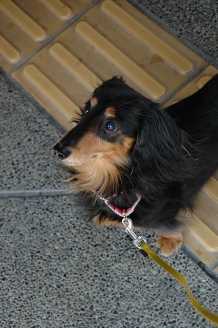 荘川道の駅。ルパンがいたらどこへ行っても楽しかったな。みんないい思い出だな。