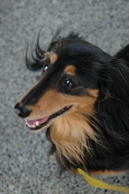 すべてがキラキラ輝いて見えた夏休み。ルパンのいる夏休み。