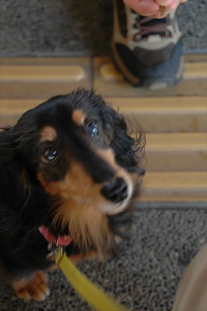 かわいい顔してこっち見つめて・・♪