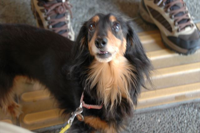 荘川道の駅。ドライブ、ちょっと休憩。