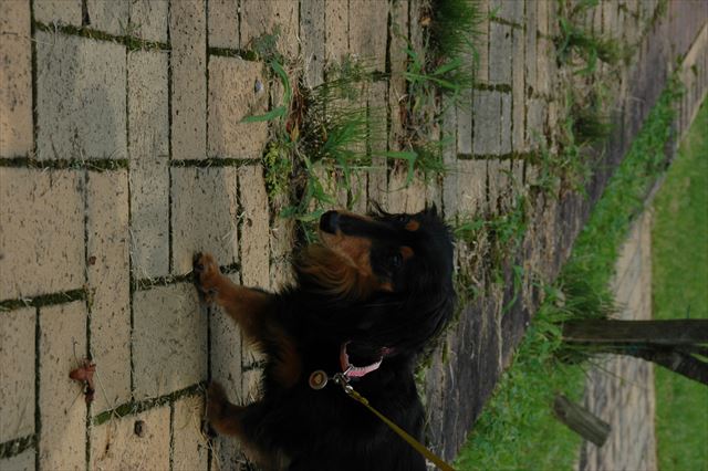 夏は家族３人ずっと一緒。楽しかったよね。