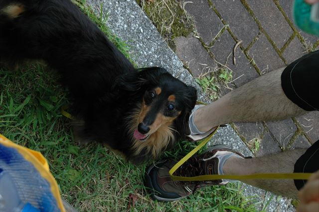 ルパンは近くにいる。そうだよね。いつもいてくれてるんだよね。