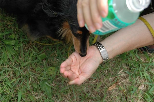 お水だよ。上手に飲めるかな。