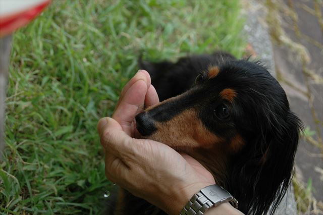 いつも一緒の夏休み。お水飲む？