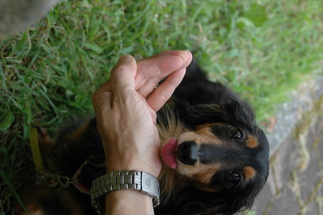 お水、美味しい？