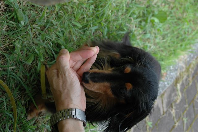 暑いね、お水飲む？