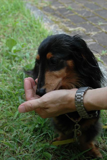 暑いね。お水飲む？
