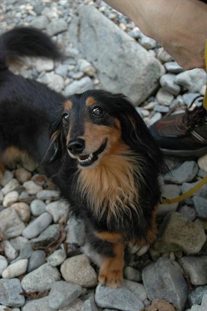 楽しいね！夏休みはずっと一緒。楽しいね♪