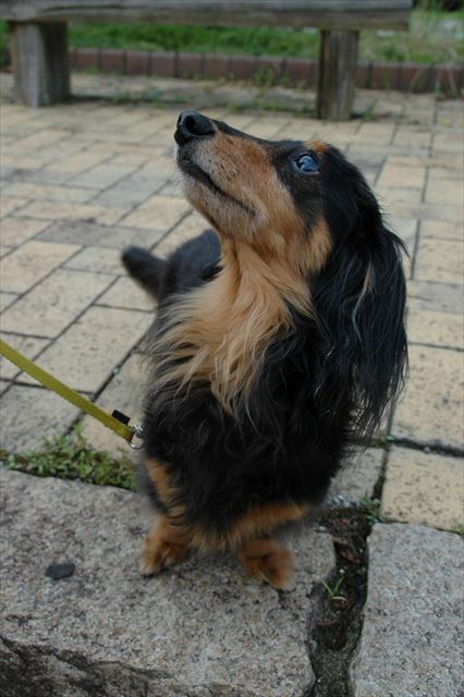 わかってるよ。ごほうび、だよね？