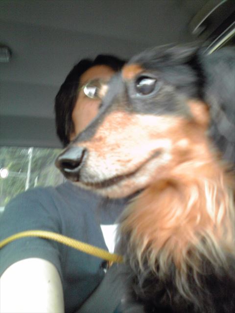 風に吹かれてご満悦。真夏でもエアコンかけたことなかったな。