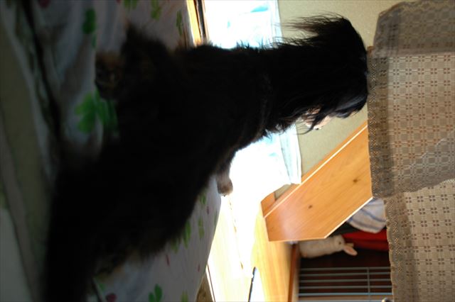 みんなで過ごす夏休み、楽しかったよね。